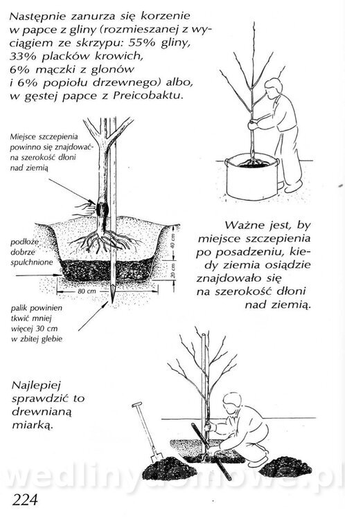 Podręcznik naturalnego ogrodnictwa_224.jpg