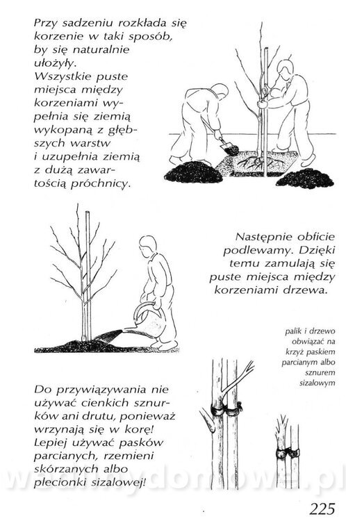 Podręcznik naturalnego ogrodnictwa_225.jpg