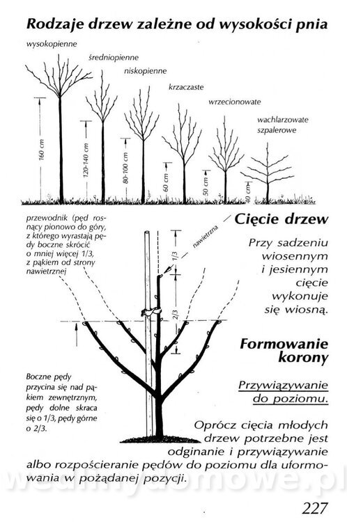 Podręcznik naturalnego ogrodnictwa_227.jpg
