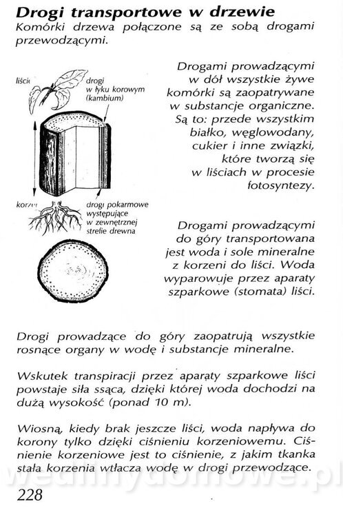 Podręcznik naturalnego ogrodnictwa_228.jpg
