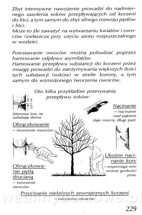 Podręcznik naturalnego ogrodnictwa_229.jpg