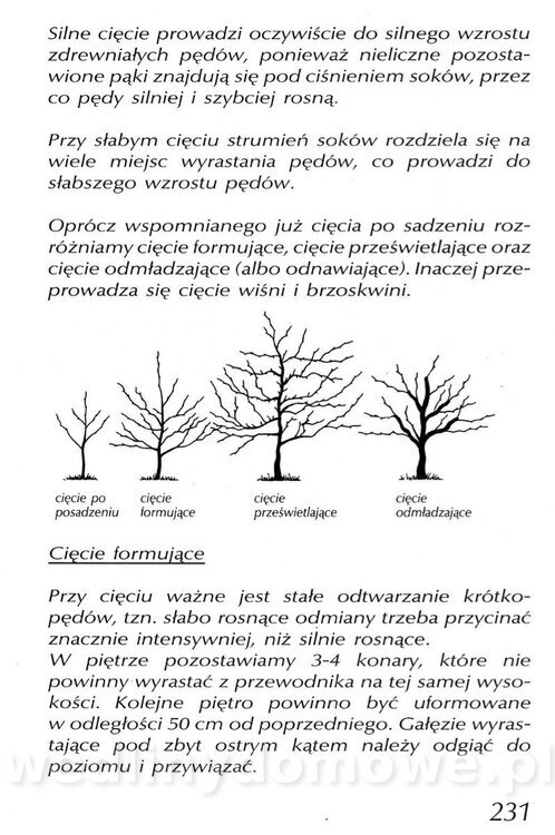 Podręcznik naturalnego ogrodnictwa_231.jpg