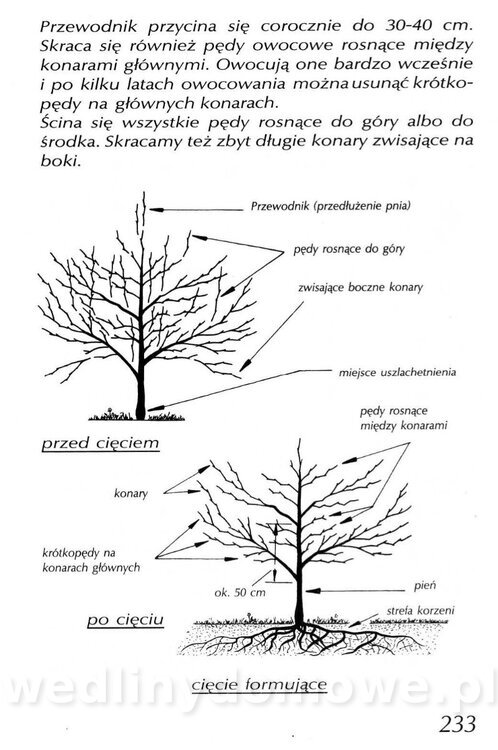 Podręcznik naturalnego ogrodnictwa_233.jpg