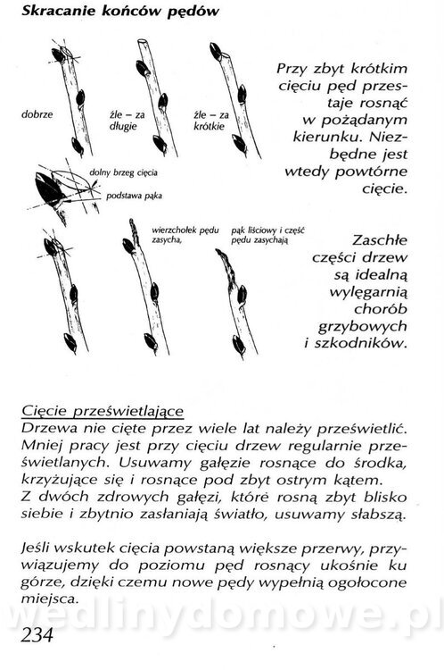 Podręcznik naturalnego ogrodnictwa_234.jpg