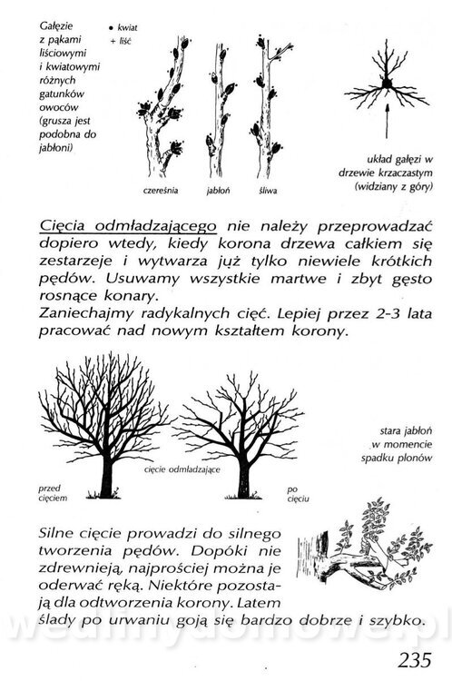 Podręcznik naturalnego ogrodnictwa_235.jpg
