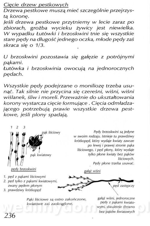 Podręcznik naturalnego ogrodnictwa_236.jpg