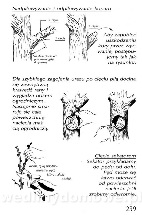 Podręcznik naturalnego ogrodnictwa_239.jpg