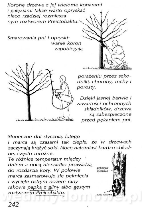 Podręcznik naturalnego ogrodnictwa_242.jpg