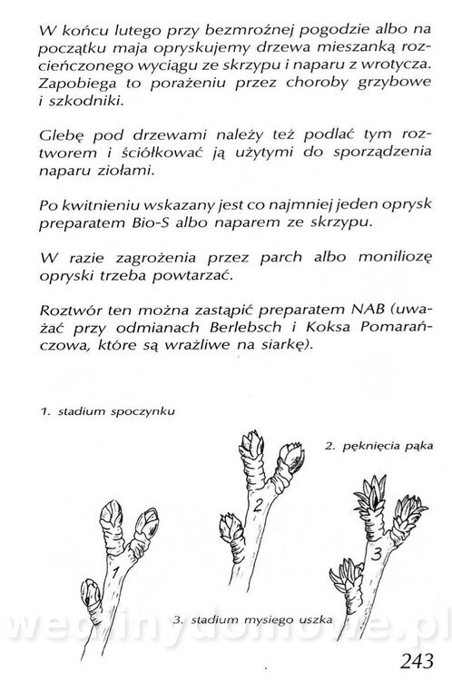 Podręcznik naturalnego ogrodnictwa_243.jpg