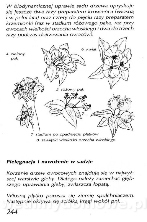 Podręcznik naturalnego ogrodnictwa_244.jpg