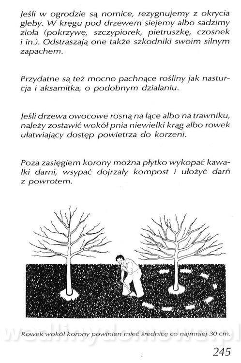Podręcznik naturalnego ogrodnictwa_245.jpg