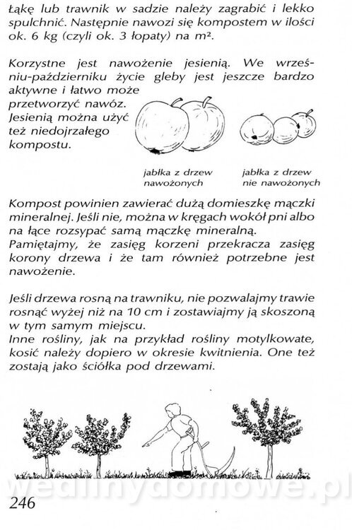 Podręcznik naturalnego ogrodnictwa_246.jpg