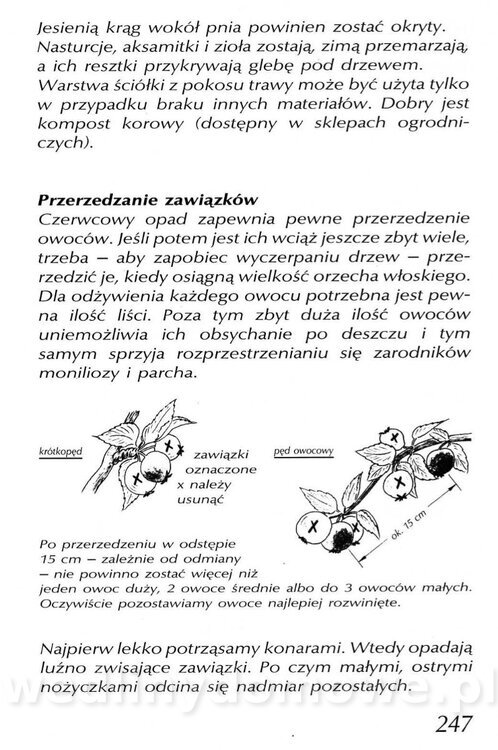 Podręcznik naturalnego ogrodnictwa_247.jpg