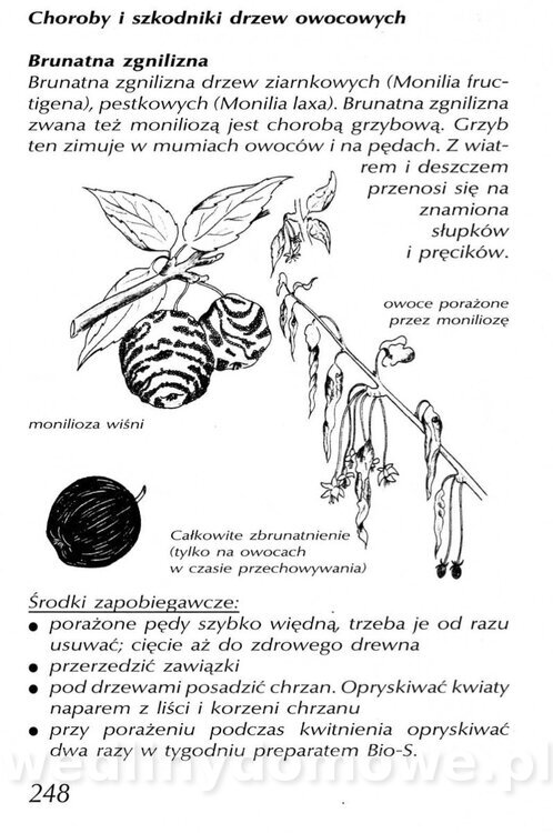 Podręcznik naturalnego ogrodnictwa_248.jpg