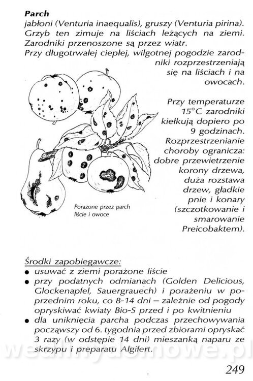 Podręcznik naturalnego ogrodnictwa_249.jpg