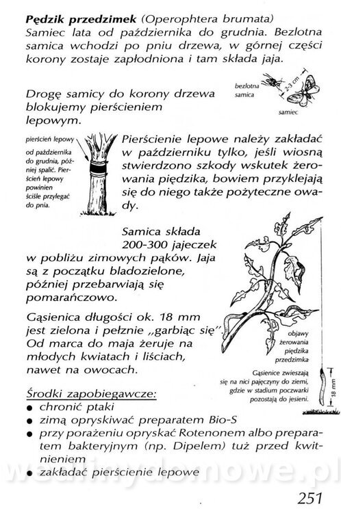 Podręcznik naturalnego ogrodnictwa_251.jpg