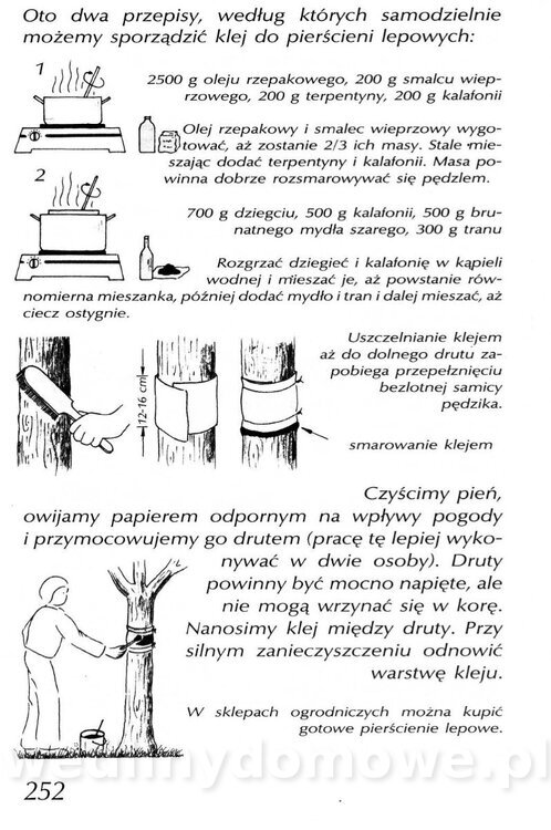 Podręcznik naturalnego ogrodnictwa_252.jpg