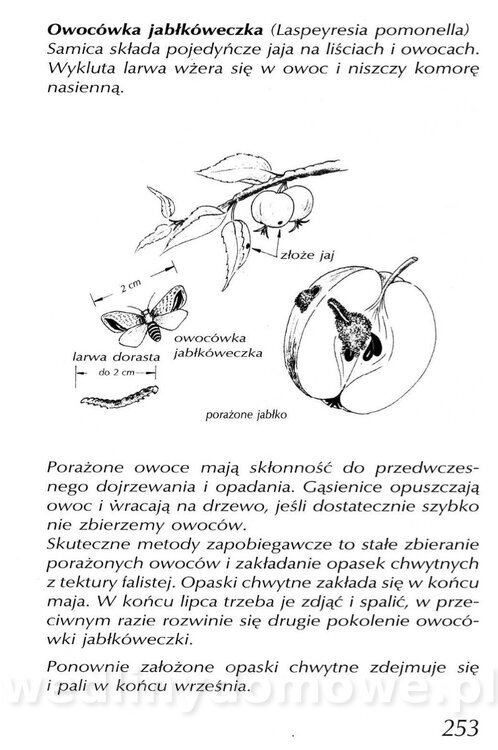 Podręcznik naturalnego ogrodnictwa_253.jpg