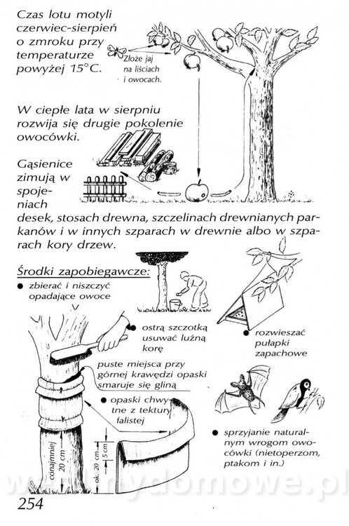 Podręcznik naturalnego ogrodnictwa_254.jpg