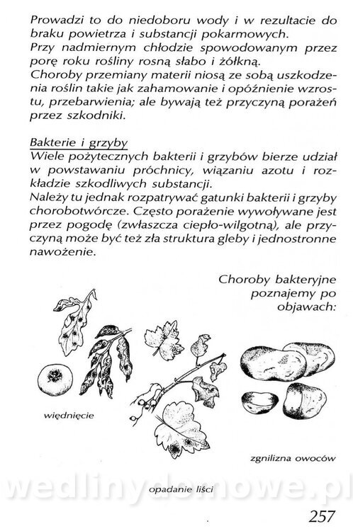 Podręcznik naturalnego ogrodnictwa_257.jpg