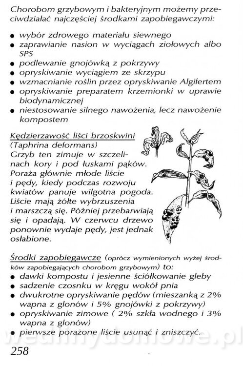 Podręcznik naturalnego ogrodnictwa_258.jpg