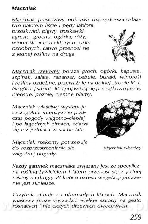 Podręcznik naturalnego ogrodnictwa_259.jpg
