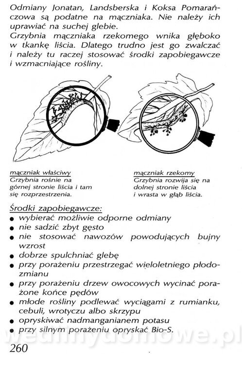 Podręcznik naturalnego ogrodnictwa_260.jpg