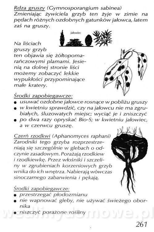 Podręcznik naturalnego ogrodnictwa_261.jpg