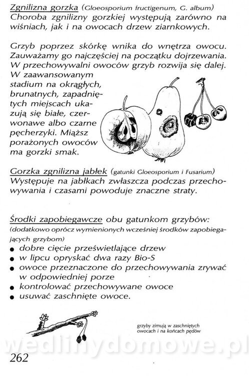 Podręcznik naturalnego ogrodnictwa_262.jpg