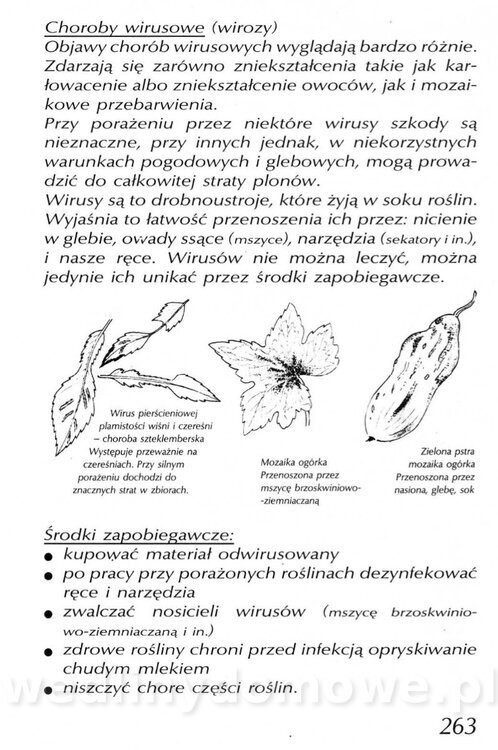 Podręcznik naturalnego ogrodnictwa_263.jpg