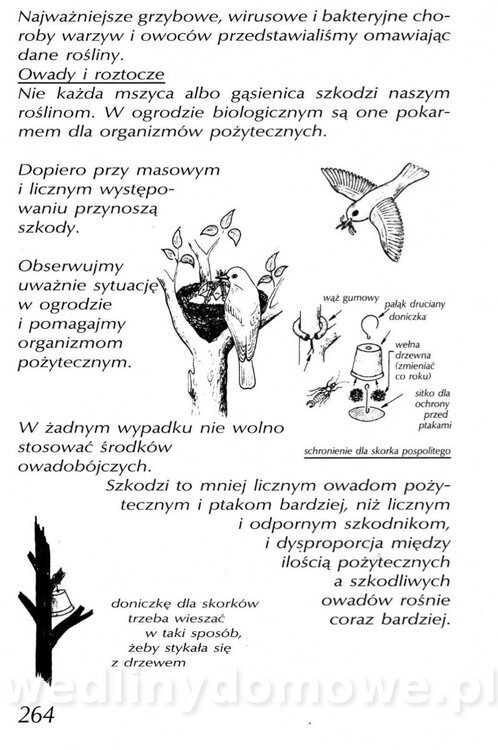 Podręcznik naturalnego ogrodnictwa_264.jpg