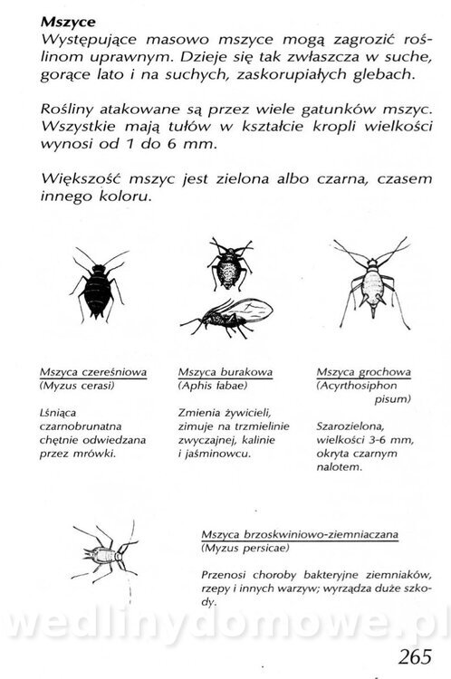 Podręcznik naturalnego ogrodnictwa_265.jpg