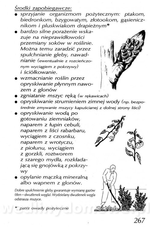 Podręcznik naturalnego ogrodnictwa_267.jpg