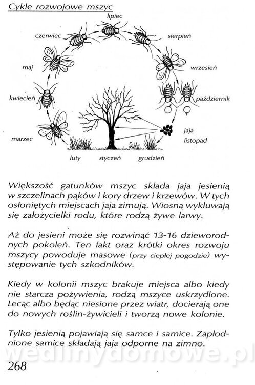 Podręcznik naturalnego ogrodnictwa_268.jpg