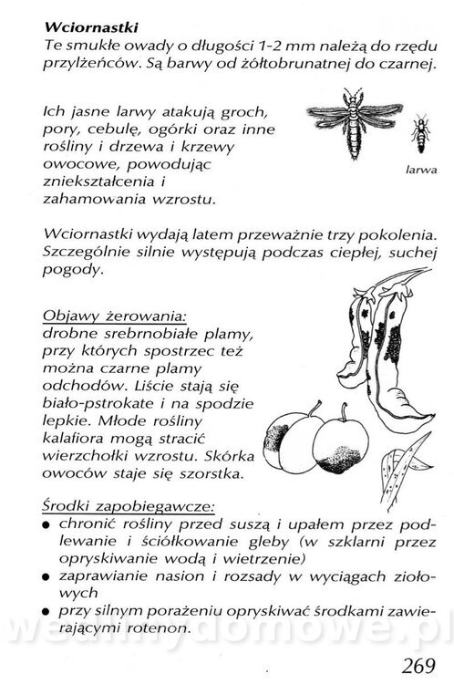 Podręcznik naturalnego ogrodnictwa_269.jpg