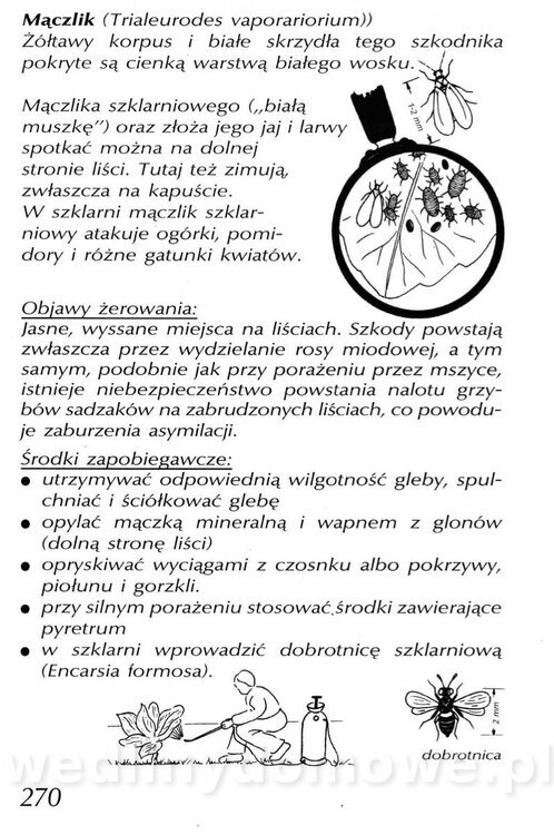 Podręcznik naturalnego ogrodnictwa_270.jpg