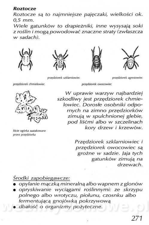 Podręcznik naturalnego ogrodnictwa_271.jpg