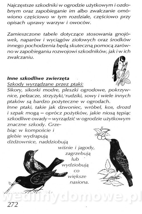 Podręcznik naturalnego ogrodnictwa_272.jpg