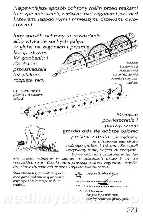 Podręcznik naturalnego ogrodnictwa_273.jpg