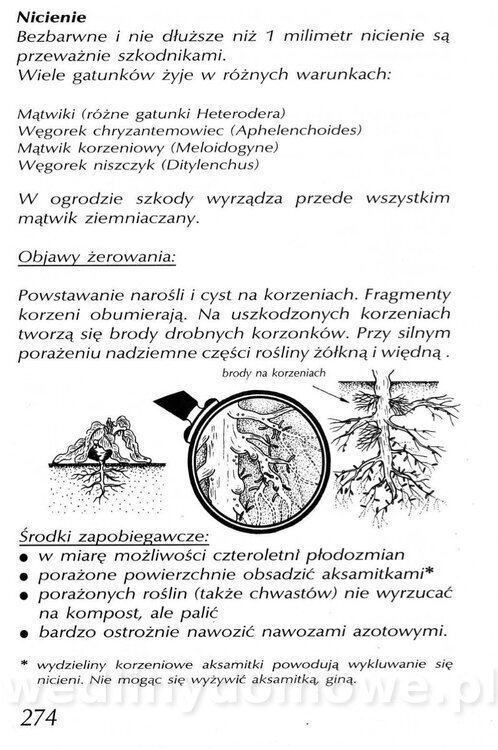 Podręcznik naturalnego ogrodnictwa_274.jpg