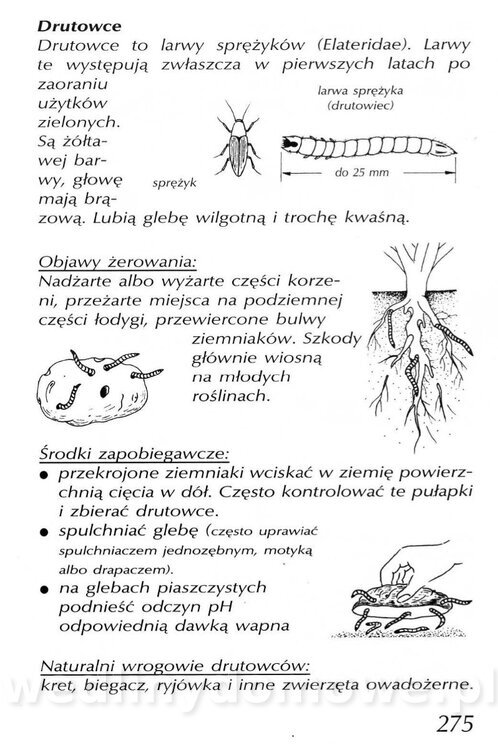 Podręcznik naturalnego ogrodnictwa_275.jpg