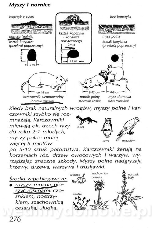 Podręcznik naturalnego ogrodnictwa_276.jpg