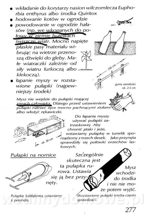 Podręcznik naturalnego ogrodnictwa_277.jpg