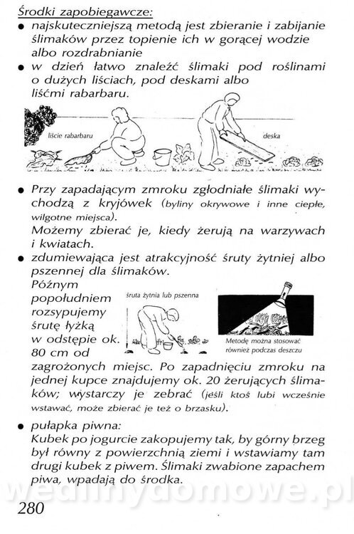 Podręcznik naturalnego ogrodnictwa_280.jpg