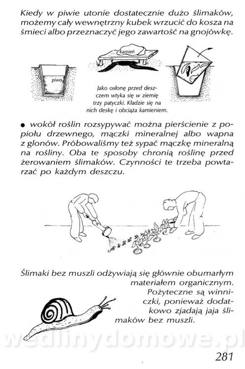 Podręcznik naturalnego ogrodnictwa_281.jpg