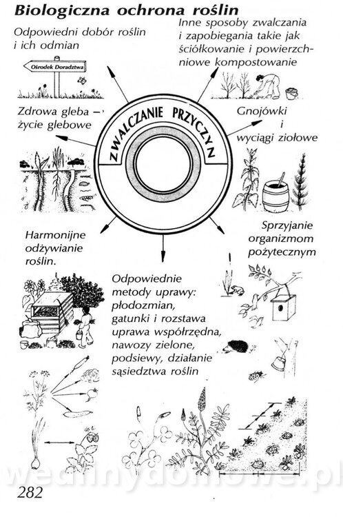 Podręcznik naturalnego ogrodnictwa_282.jpg