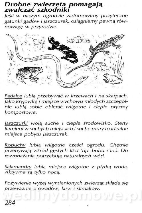 Podręcznik naturalnego ogrodnictwa_284.jpg