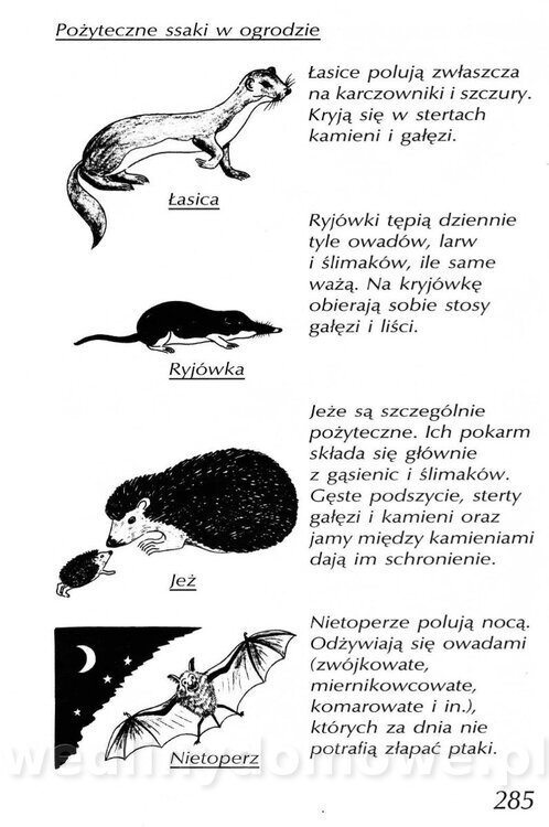 Podręcznik naturalnego ogrodnictwa_285.jpg