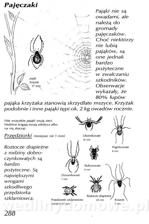 Podręcznik naturalnego ogrodnictwa_288.jpg