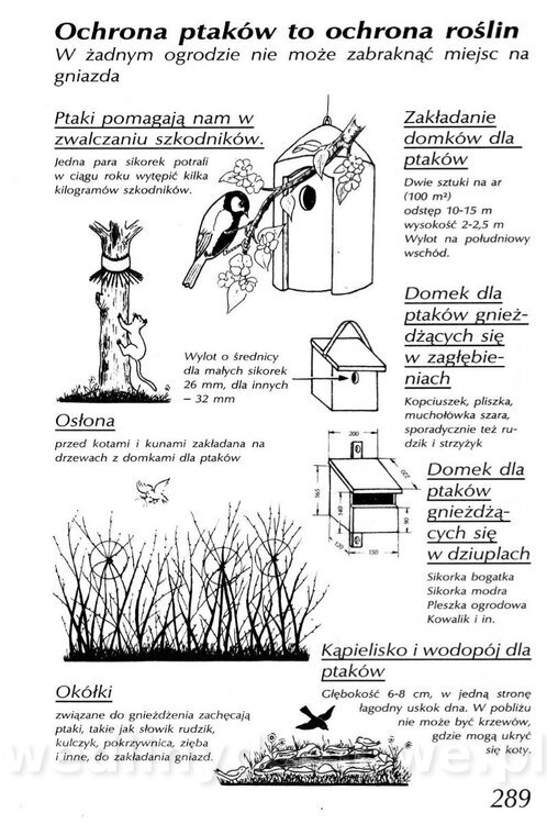 Podręcznik naturalnego ogrodnictwa_289.jpg